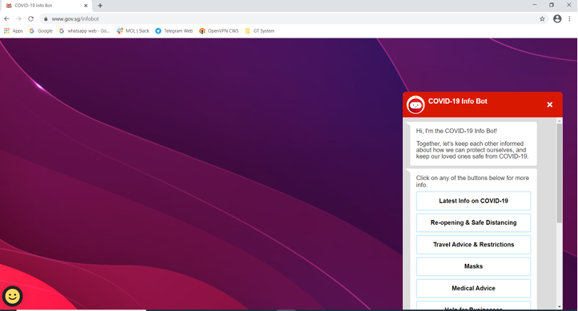Web infobot screenshot